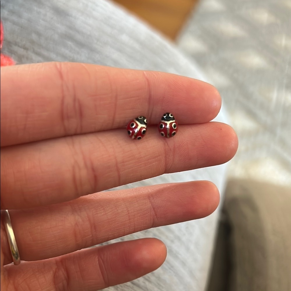 Elegant Red and Black Ladybug Earrings